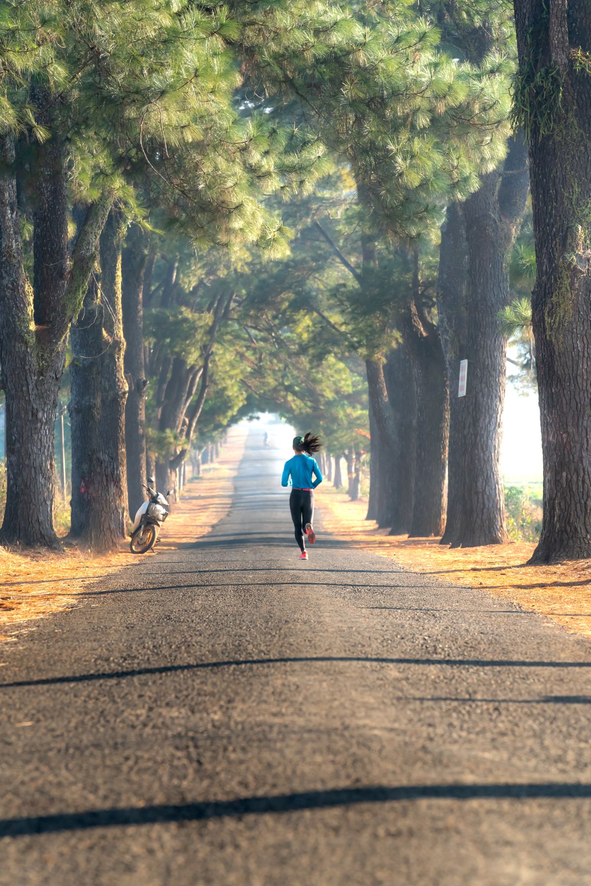 A woman running alone on a tree-lined road at sunrise