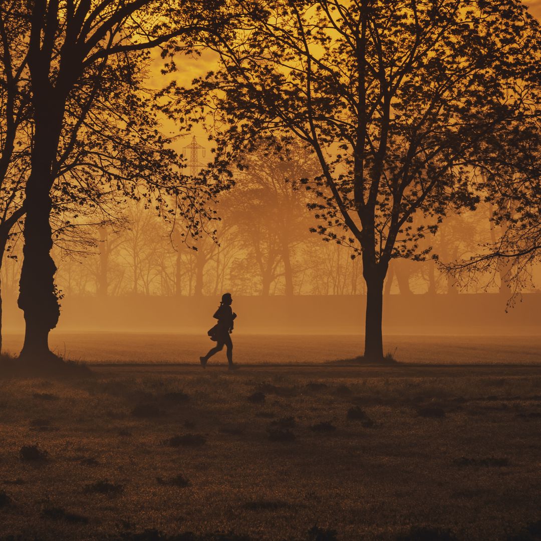 Silhouette of a runner at sunrise in a misty golden field